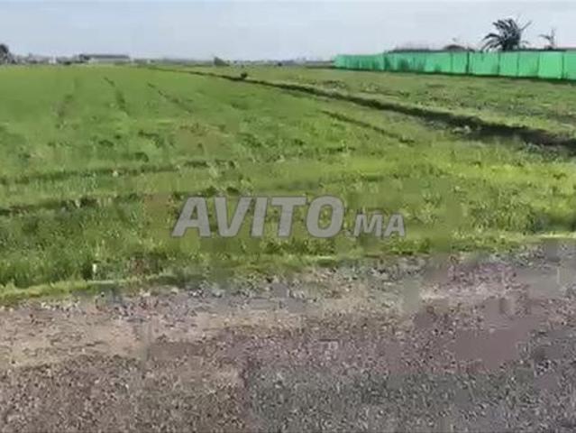 Terrains, Villas & Fermes Titrés – Sidi Rahal