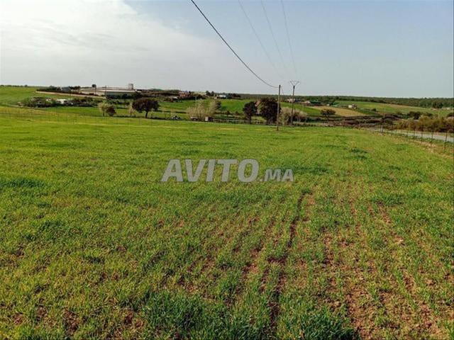 Terrains, Villas & Fermes Titrés – Sidi Rahal