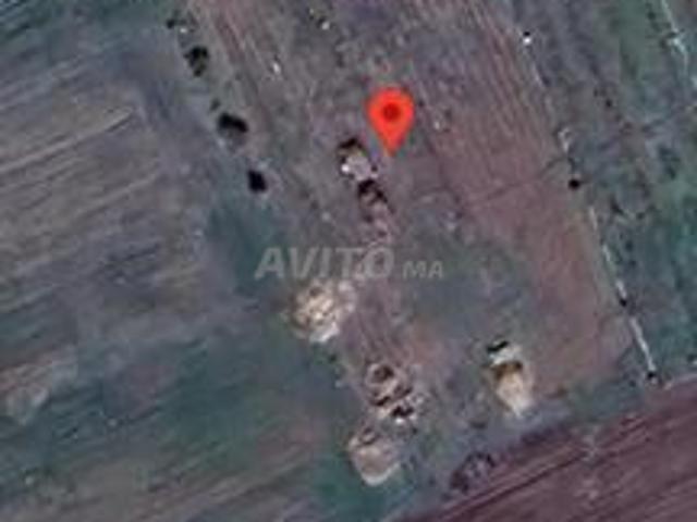 Terrains zone agricole RA mediona nouacer
