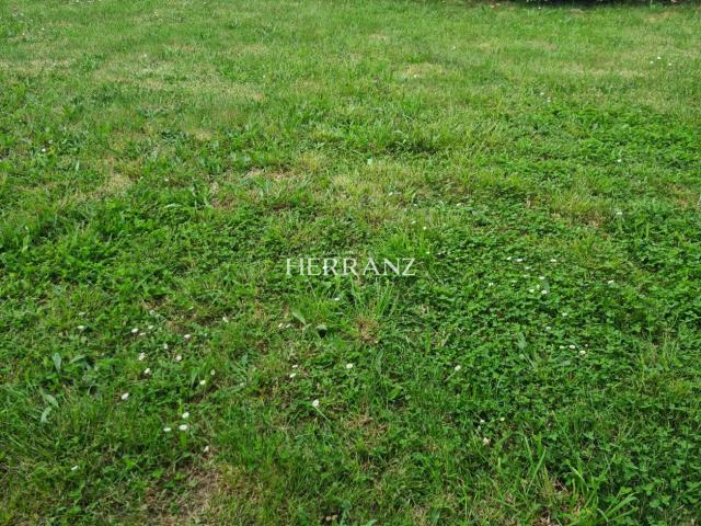 TERRAINS A BATIR LIBOURNE L EPINETTE