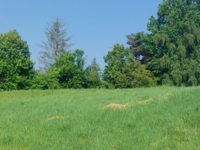 TERRAINS A PRIMARETTE