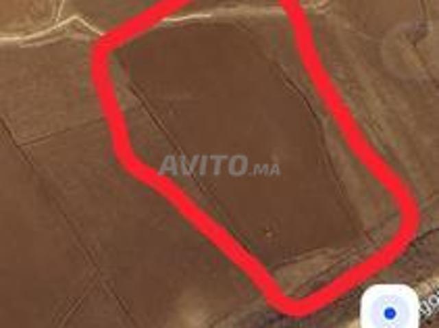 Terrains agricoles