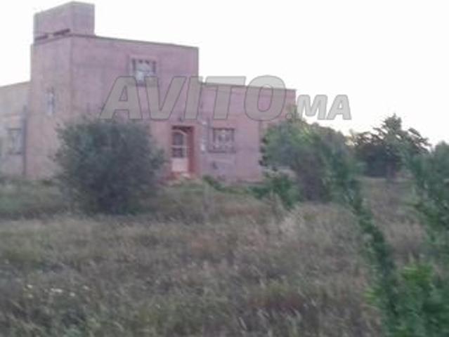 Terrains agricoles dans la région de Sidi Moussa