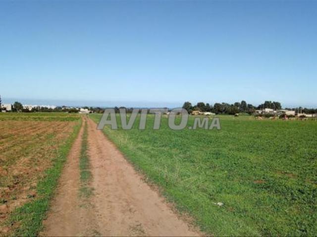 Terrains agricoles enregistrés pour habitation et investissement à Sidi Rahal