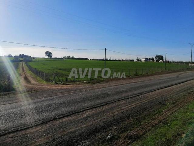 Terrains agricoles Sidi Yahya Zaers