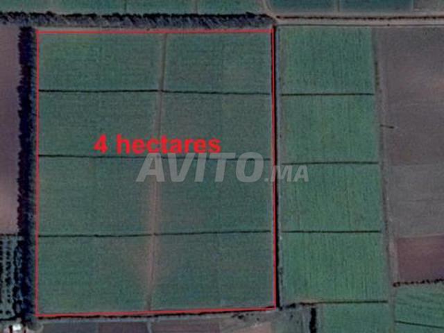 Terrains agricoles titrés à Sidi Rahal pour habitation et investissement