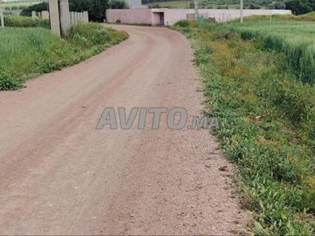 Terrains agricoles titrés et villas à vendre Bir Jdid