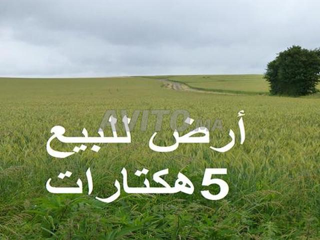Terrains agricoles titrés pour habitation et investissement à Sidi Rahal