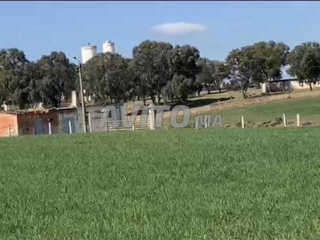 Terrains conservés à Bir Jdid pour l'habitation et l'investissement