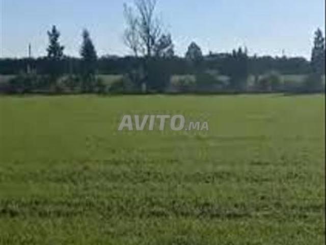 Terrains conservés dans la région de Bir Jdid pour l'habitation et l'investissement