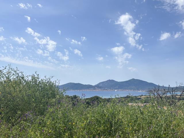 TERRAINS CONSTRUCTIBLES VUE MER PORTICCIO