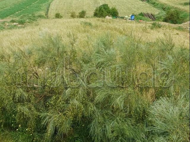 Terrains de 6380m titre a vendre