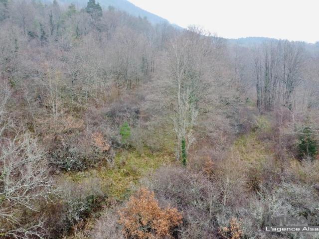 Terrains en situation dominante plein SUD avec vue sur St Dié