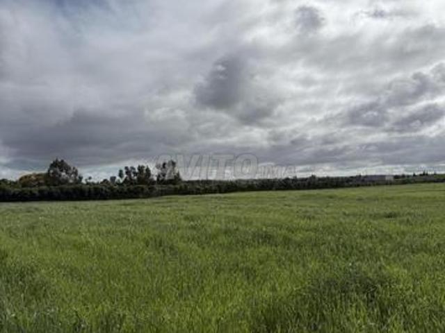 Terrains enregistrés à Bir Jdid pour habitation ou investissement agricole