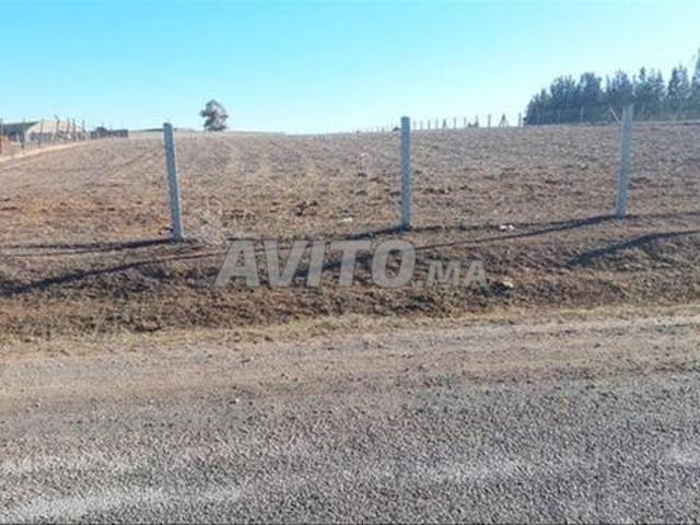Terrains enregistrés Bir Jdid pour habitation, construction et investissement
