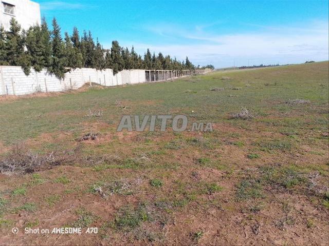 Terrains et villas enregistrés à Sidi Rahal