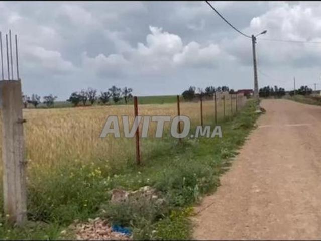 Terrains et fermes conservés à vendre | Sidi Rahal