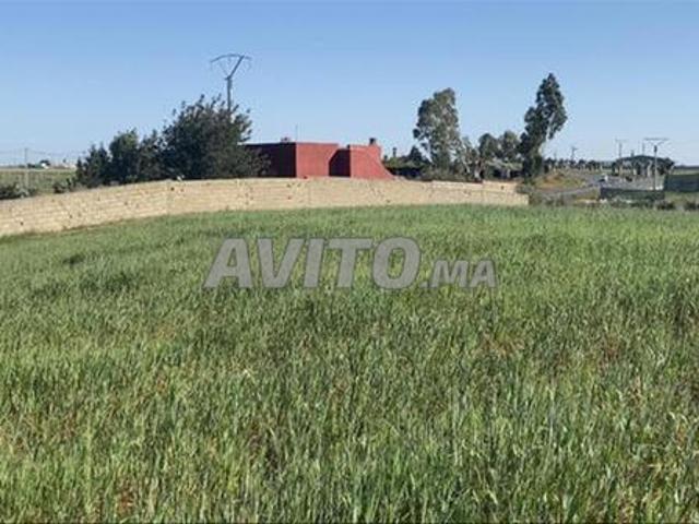 Terrains et fermes agricoles conservés à vendre – Bir Jdid