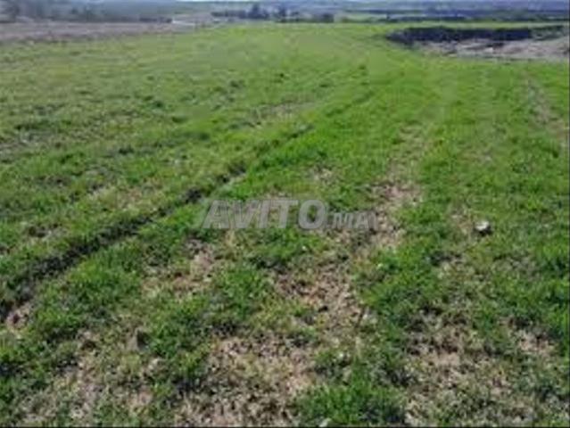 Terrains et fermes agricoles enregistrés Bir Jdid