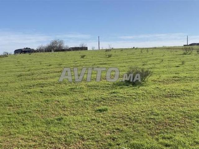 Terrains et fermes agricoles titrés dans les environs de Bir Jdid