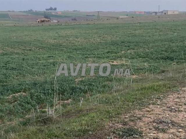Terrains et fermes agricoles titrés près de El Biar El Jadid