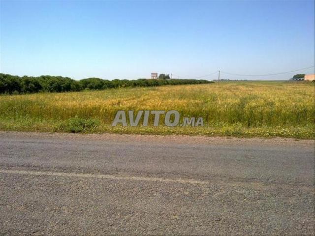 Terrains et fermes enregistrés à vendre | Sidi Rahal