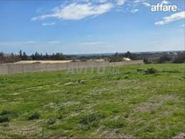 Terrains et fermes titrés à Bir Jdid pour investir