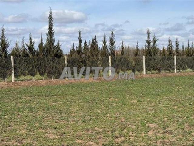 Terrains et fermes titrés la région de Bir Jdid