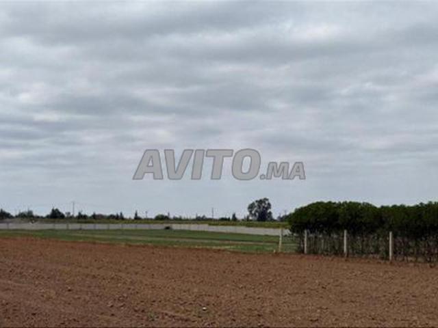 Terrains & Fermes Titrés | Tnine Chtouka