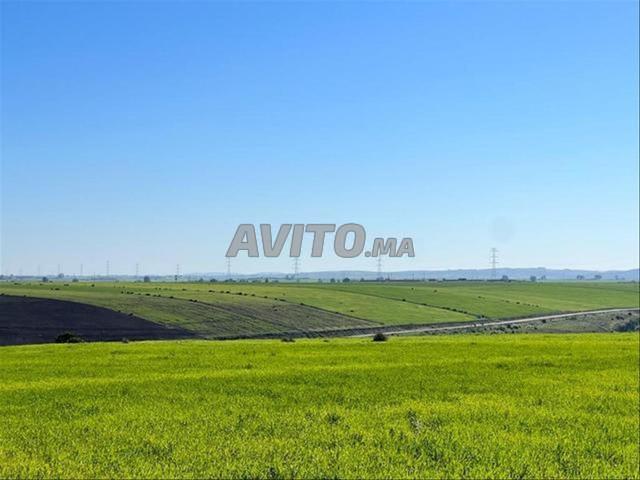 Terrains & Fermes titrés – Tnine Chtouka