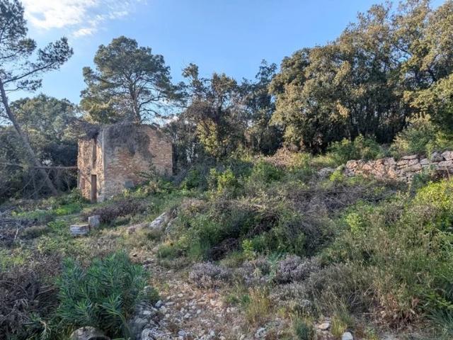 Terrais à bâtir proche village