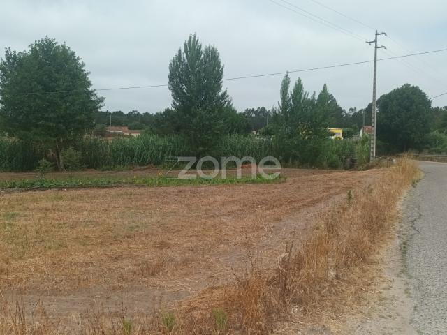 Terras agrícolas em Moita Vaqueira Arazede