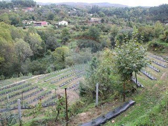 Terras De Bouro Braga 100020456