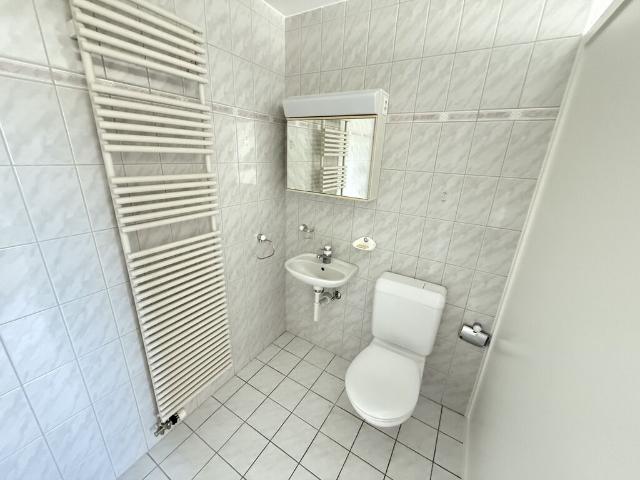 Terrasse panoramique et volumes exceptionnels | dreamo. Ch