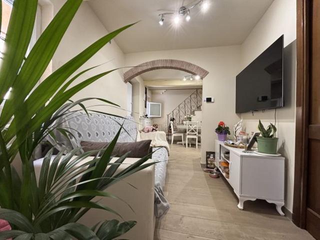 Terratetto Camaiore Centro