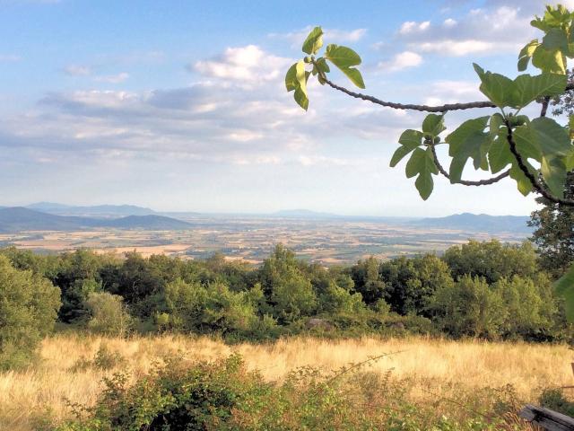 Terratetto da demolire e ricostruire con adiacente piccolo m. 235m² Roccastrada
