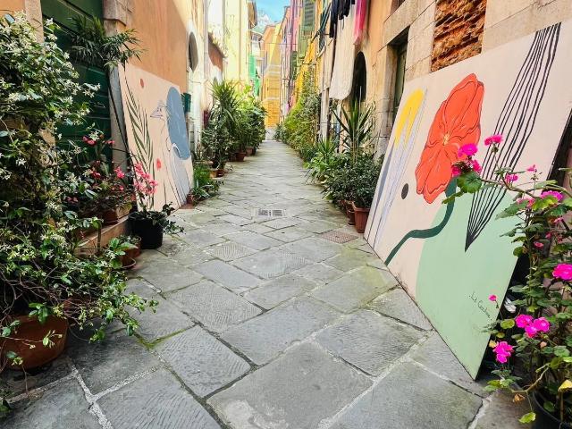 Terratetto in affitto Carrara