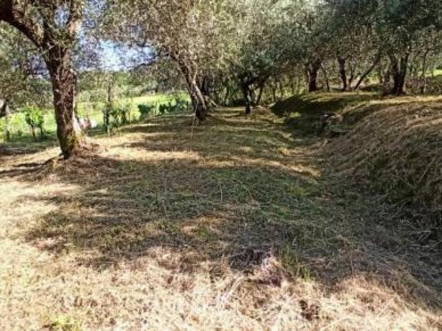 Terratetto in affitto a Colle di Compito Capannori 100 mq Rif: 1421440