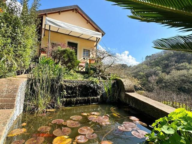Terratetto in vendita a Camaiore