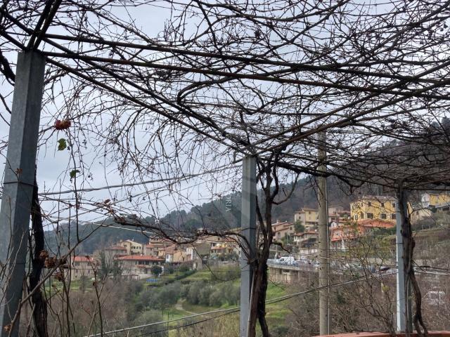 TERRATETTO in VENDITA a PIETRASANTA di 9 vani