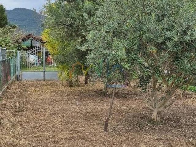 Terratetto in vendita a San Giuliano Terme