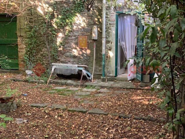 Terratetto plurifamiliare in vendita a Borgo A Mozzano