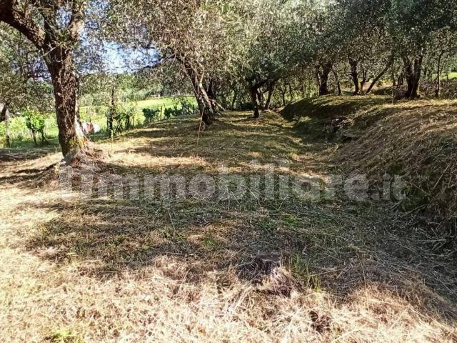 Terratetto unifamiliare via della Ruga, Colle di Compito Castelvecchio, Capannori
