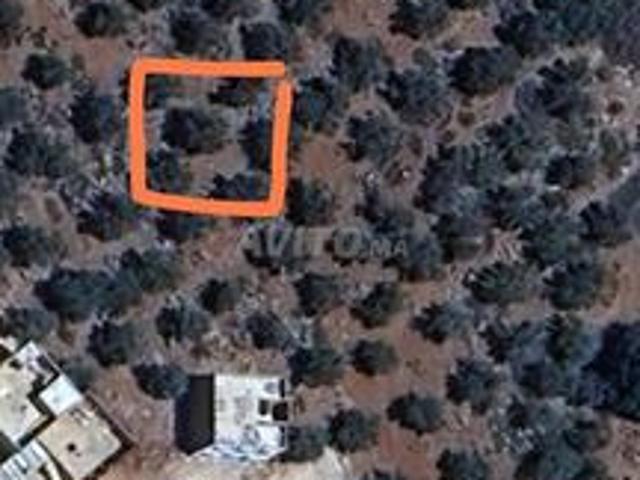 Terre 120m2