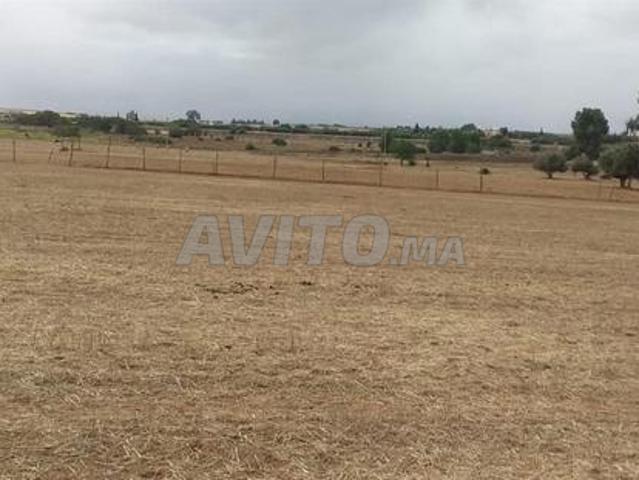 Terrain agricole