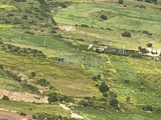 Terre agricole à vendre jamaat alt sibr, khemissat