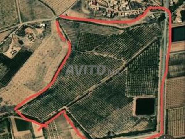 Terre agricole irriguée sur la route nationale Zaïo 13 hectares