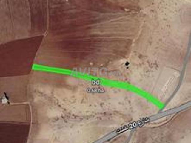 Terre agricole sur la route près de Kasba Tadla