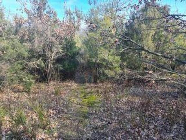 Terre Ceret Languedoc Roussillon 66400 DS82342191