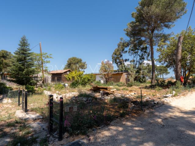 TERRE DE PINEDE